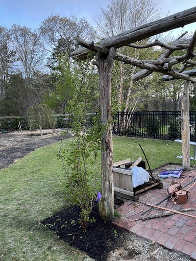 Rose & Orchard Restoration