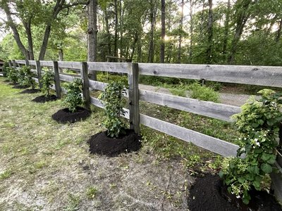 Rose & Orchard Restoration