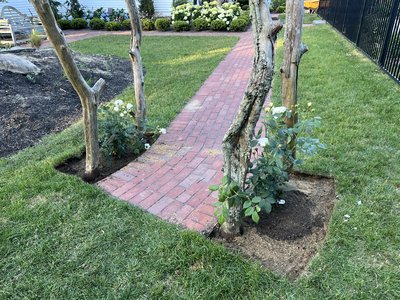 Rose & Orchard Restoration